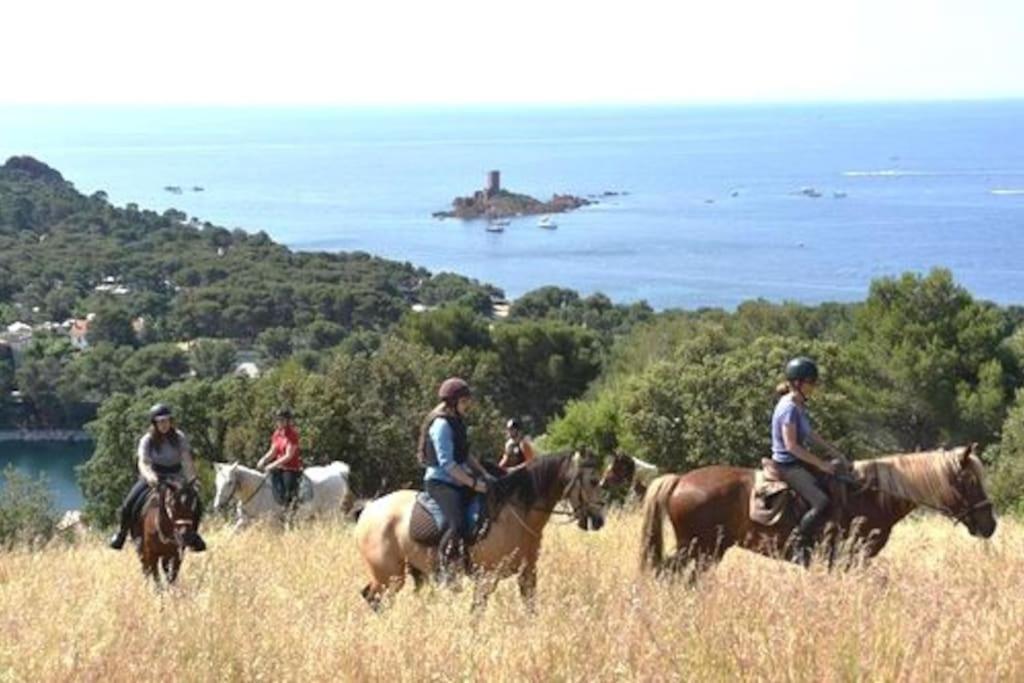 Dans Un Cadre D'Exception, Vue Mer Panoramique A Agay Cote D'Azur, Village Vacances Cap Esterel, T2 Avec Jardin, Golf, Climatisation, Wifi, 5 Piscines Saint-Raphaël Εξωτερικό φωτογραφία