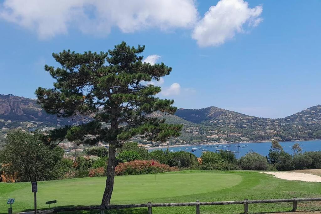 Dans Un Cadre D'Exception, Vue Mer Panoramique A Agay Cote D'Azur, Village Vacances Cap Esterel, T2 Avec Jardin, Golf, Climatisation, Wifi, 5 Piscines Saint-Raphaël Εξωτερικό φωτογραφία